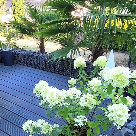 Regal In With Garden And Grill * Pracht