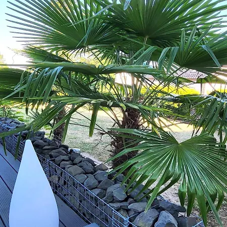 アパート Regal In With Garden And Grill Pracht