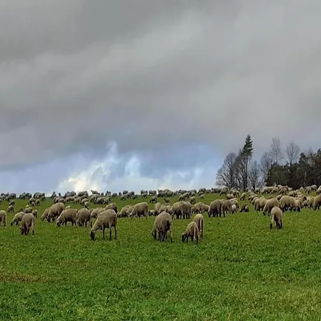 アパート Regal In With Garden And Grill Pracht