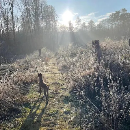 アパート Regal In With Garden And Grill *