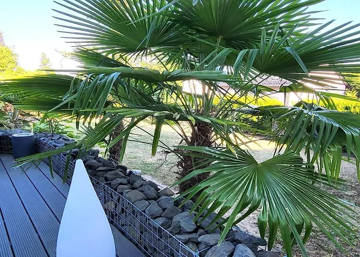 דירה Regal In With Garden And Grill Pracht