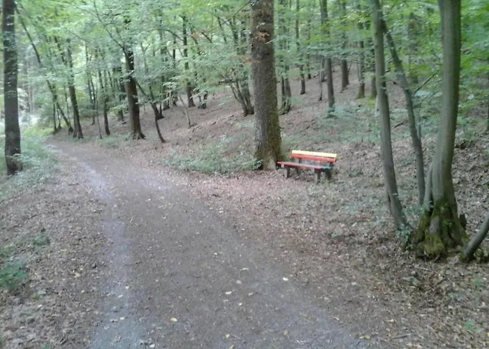 דירה Regal In With Garden And Grill *