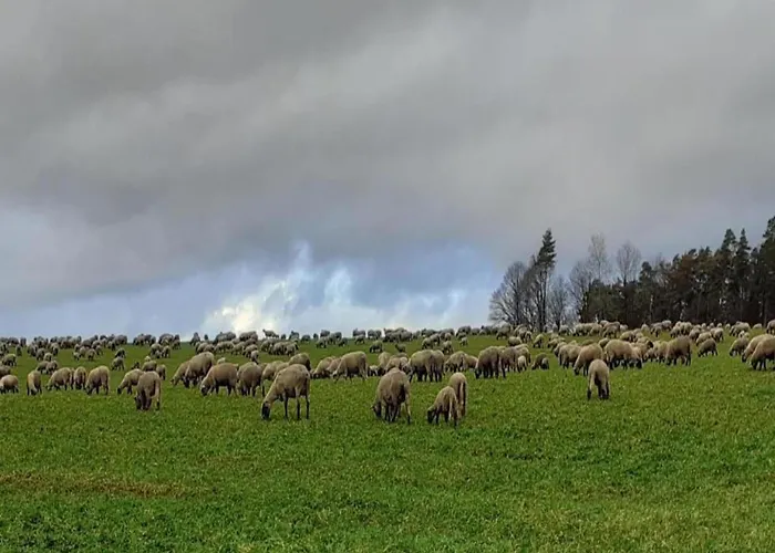 דירה Regal In With Garden And Grill Pracht