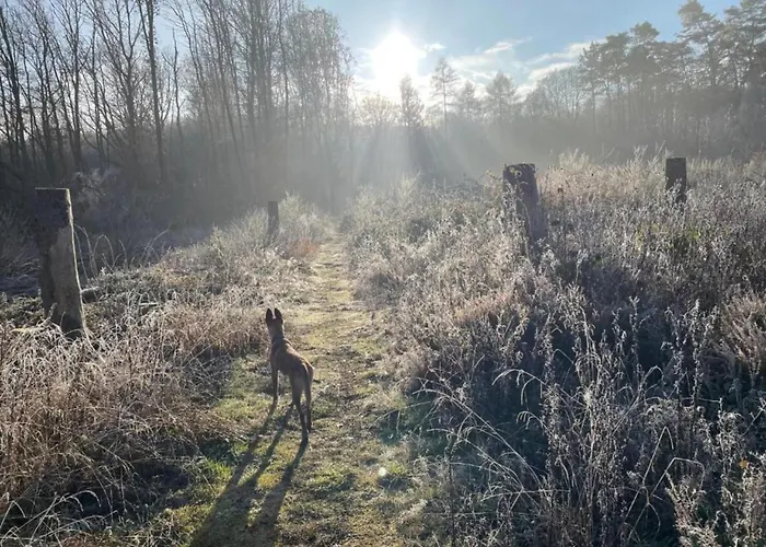 דירה Regal In With Garden And Grill *